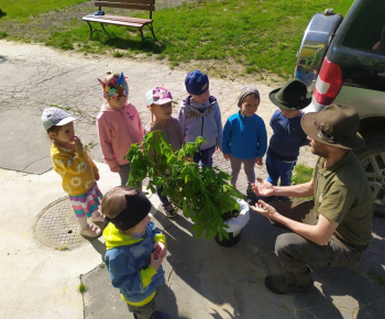 Materská škola / Výsadba stromčekov - Pagaštan konský - foto Materská škola / Výsadba stromčekov - Pagaštan konský - foto