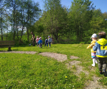 Materská škola / Výsadba stromčekov - Pagaštan konský - foto