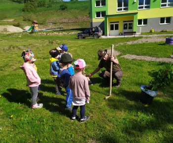 Materská škola / Výsadba stromčekov - Pagaštan konský - foto Materská škola / Výsadba stromčekov - Pagaštan konský - foto