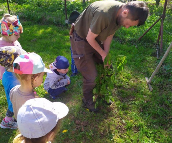 Materská škola / Výsadba stromčekov - Pagaštan konský - foto Materská škola / Výsadba stromčekov - Pagaštan konský - foto