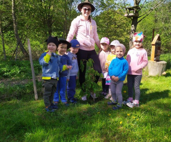 Materská škola / Výsadba stromčekov - Pagaštan konský - foto Materská škola / Výsadba stromčekov - Pagaštan konský - foto
