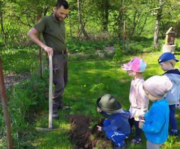 Materská škola / Výsadba stromčekov - Pagaštan konský - foto Materská škola / Výsadba stromčekov - Pagaštan konský - foto