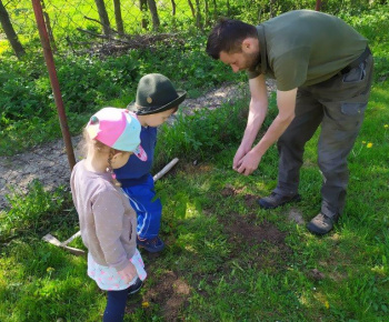 Materská škola / Výsadba stromčekov - Pagaštan konský - foto Materská škola / Výsadba stromčekov - Pagaštan konský - foto