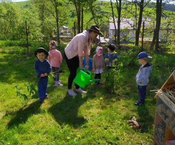 Materská škola / Výsadba stromčekov - Pagaštan konský - foto Materská škola / Výsadba stromčekov - Pagaštan konský - foto