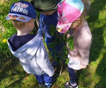 Materská škola / Výsadba stromčekov - Pagaštan konský - foto Materská škola / Výsadba stromčekov - Pagaštan konský - foto