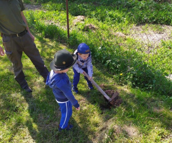 Materská škola / Výsadba stromčekov - Pagaštan konský - foto