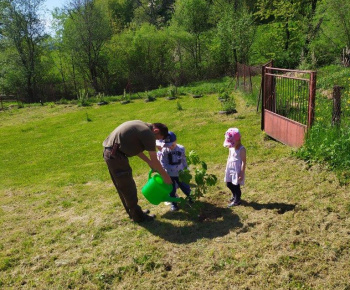 Materská škola / Výsadba stromčekov - Pagaštan konský - foto Materská škola / Výsadba stromčekov - Pagaštan konský - foto