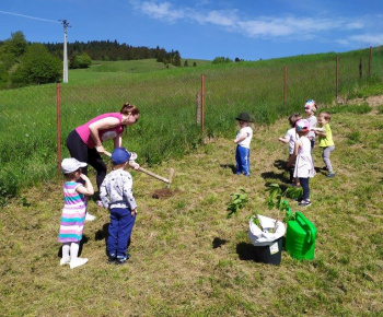 Materská škola / Výsadba stromčekov - Pagaštan konský - foto Materská škola / Výsadba stromčekov - Pagaštan konský - foto