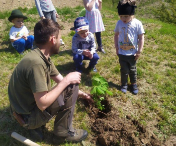 Materská škola / Výsadba stromčekov - Pagaštan konský - foto Materská škola / Výsadba stromčekov - Pagaštan konský - foto