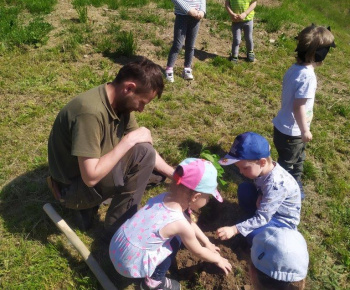 Materská škola / Výsadba stromčekov - Pagaštan konský - foto Materská škola / Výsadba stromčekov - Pagaštan konský - foto
