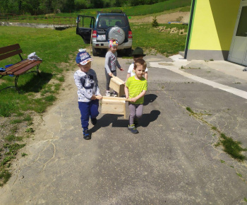 Materská škola / Výsadba stromčekov - Pagaštan konský - foto Materská škola / Výsadba stromčekov - Pagaštan konský - foto