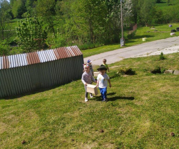 Materská škola / Výsadba stromčekov - Pagaštan konský - foto