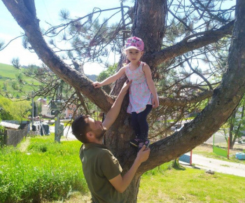 Materská škola / Výsadba stromčekov - Pagaštan konský - foto Materská škola / Výsadba stromčekov - Pagaštan konský - foto