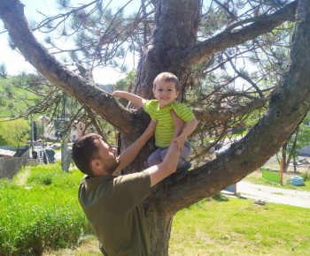 Materská škola / Výsadba stromčekov - Pagaštan konský - foto Materská škola / Výsadba stromčekov - Pagaštan konský - foto