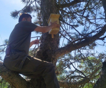 Materská škola / Výsadba stromčekov - Pagaštan konský - foto Materská škola / Výsadba stromčekov - Pagaštan konský - foto