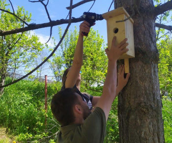 Materská škola / Výsadba stromčekov - Pagaštan konský - foto Materská škola / Výsadba stromčekov - Pagaštan konský - foto