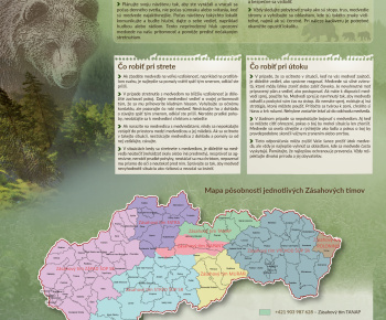 aktuality / Nežiaduci výskyt medveďa hnedého - odporúčania - foto