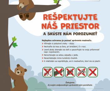 aktuality / Nežiaduci výskyt medveďa hnedého - odporúčania - foto