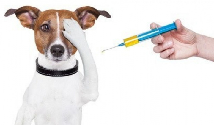 Vakcinácia psov - 09.09.2023