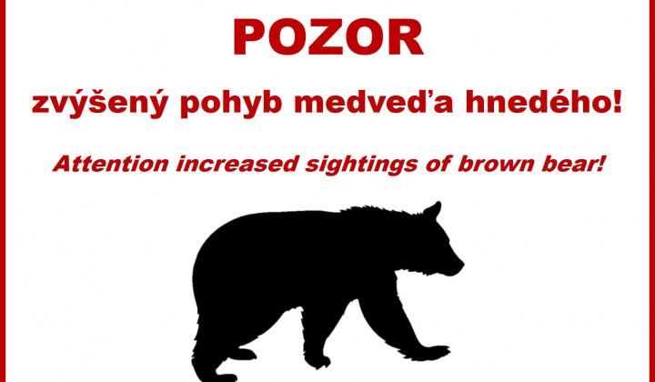 Nežiaduci výskyt medveďa hnedého - odporúčania