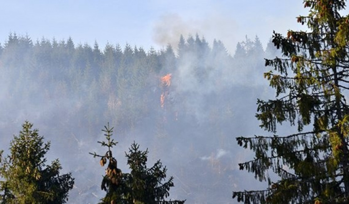 Ochrana lesov pred požiarmi r. 2021