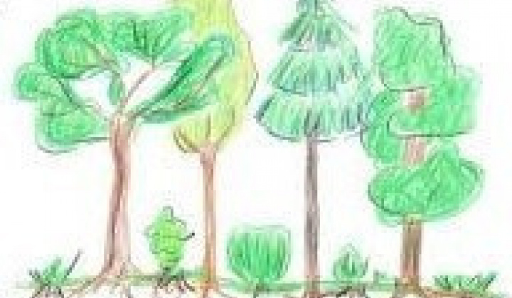 Obec Litmanová v zmysle VZN č. 2/2007 upozorňuje občanov na zákaz ťažiť a vyvážať drevo z obecných lesom bez povolenia