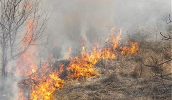 Opatrenia na zabezpečenie ochrany  lesov pred požiarmi v roku 2021